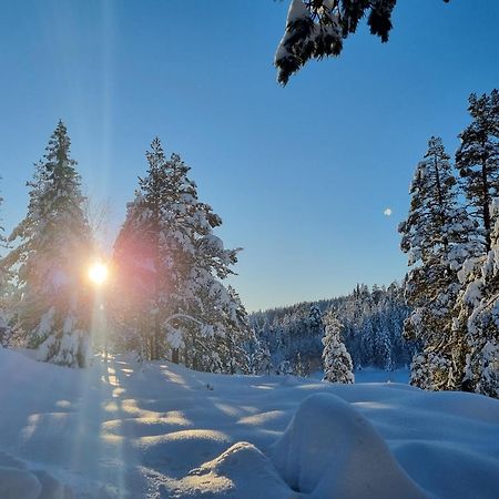 Ro I Sjelen. Hytte Til Leie Pa Skrim. Kongsberg Exterior foto