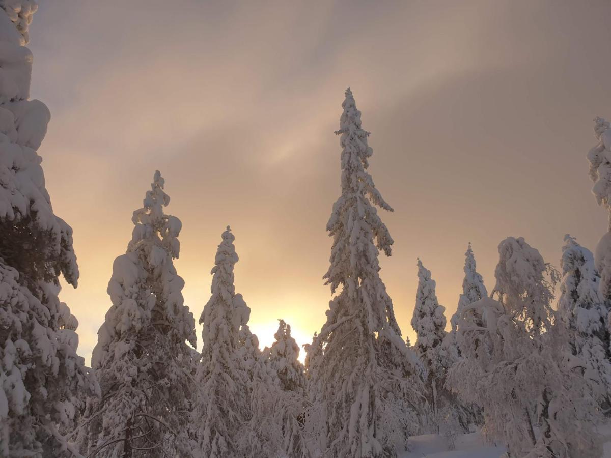 Ro I Sjelen. Hytte Til Leie Pa Skrim. Kongsberg Exterior foto