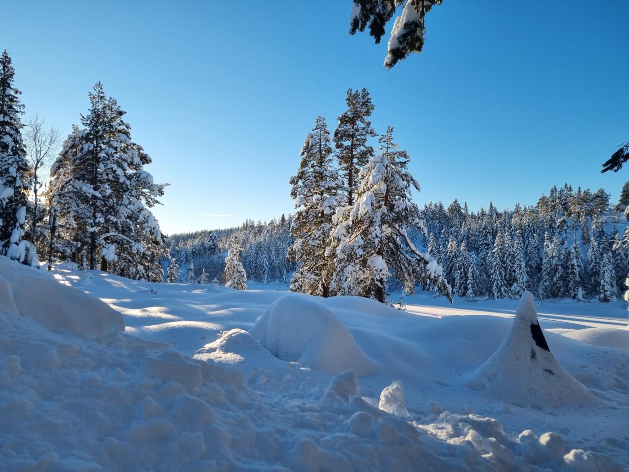 Ro I Sjelen. Hytte Til Leie Pa Skrim. Kongsberg Exterior foto